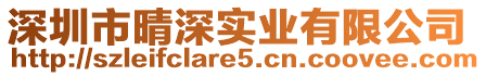 深圳市晴深實業有限公司