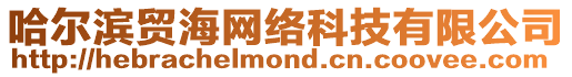 哈爾濱貿海網絡科技有限公司