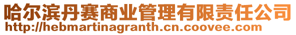 哈爾濱丹賽商業(yè)管理有限責(zé)任公司