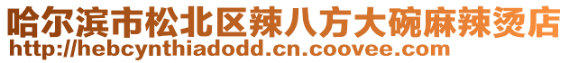 哈爾濱市松北區辣八方大碗麻辣燙店