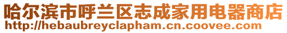哈爾濱市呼蘭區(qū)志成家用電器商店