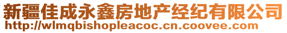 新疆佳成永鑫房地產(chǎn)經(jīng)紀(jì)有限公司