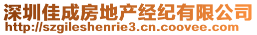 深圳佳成房地產經紀有限公司
