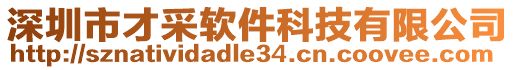 深圳市才采軟件科技有限公司