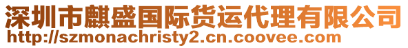 深圳市麒盛國(guó)際貨運(yùn)代理有限公司