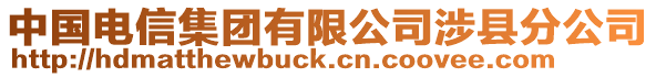 中國電信集團有限公司涉縣分公司