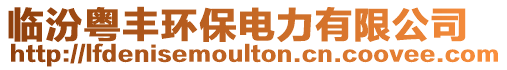 臨汾粵豐環(huán)保電力有限公司