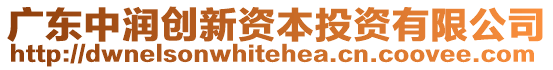 廣東中潤(rùn)創(chuàng)新資本投資有限公司