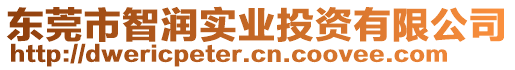 東莞市智潤實業(yè)投資有限公司