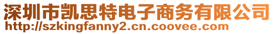 深圳市凱思特電子商務(wù)有限公司