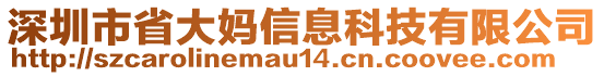 深圳市省大媽信息科技有限公司