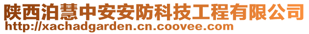 陜西泊慧中安安防科技工程有限公司