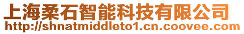 上海柔石智能科技有限公司
