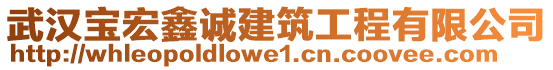 武漢寶宏鑫誠建筑工程有限公司