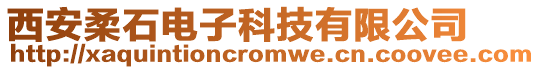 西安柔石電子科技有限公司