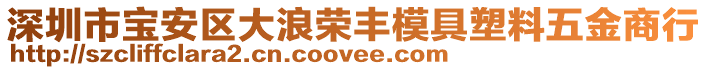 深圳市寶安區(qū)大浪榮豐模具塑料五金商行