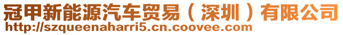 冠甲新能源汽車貿(mào)易（深圳）有限公司