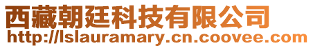 西藏朝廷科技有限公司