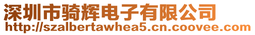 深圳市騎輝電子有限公司
