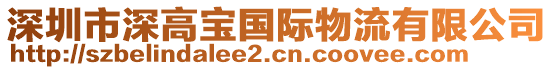 深圳市深高寶國際物流有限公司