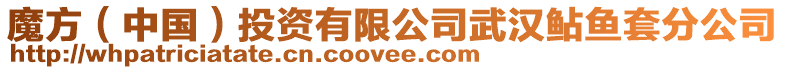 魔方(中國)投資有限公司武漢鲇魚套分公司