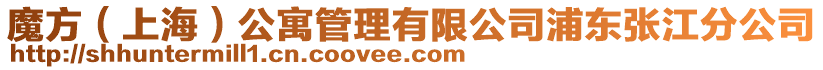 魔方（上海）公寓管理有限公司浦東張江分公司