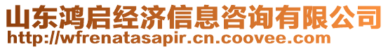 山東鴻啟經濟信息咨詢有限公司
