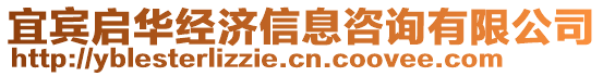宜賓啟華經濟信息咨詢有限公司