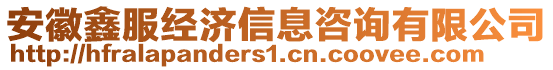 安徽鑫服經濟信息咨詢有限公司