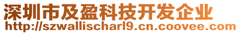 深圳市及盈科技開發企業