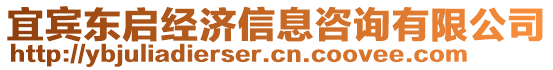 宜賓東啟經(jīng)濟(jì)信息咨詢有限公司