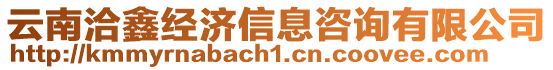 云南洽鑫經濟信息咨詢有限公司