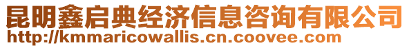昆明鑫啟典經(jīng)濟(jì)信息咨詢有限公司