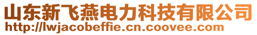 山東新飛燕電力科技有限公司
