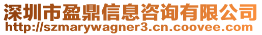 深圳市盈鼎信息咨詢有限公司