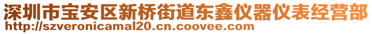 深圳市寶安區新橋街道東鑫儀器儀表經營部