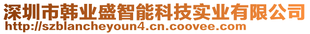 深圳市韓業盛智能科技實業有限公司