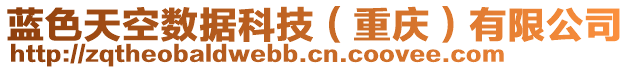 藍色天空數據科技(重慶)有限公司