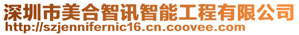 深圳市美合智訊智能工程有限公司
