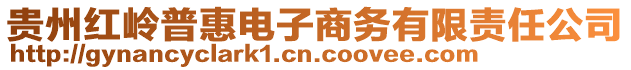 貴州紅嶺普惠電子商務有限責任公司