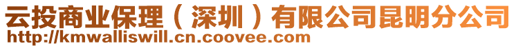 云投商業(yè)保理（深圳）有限公司昆明分公司