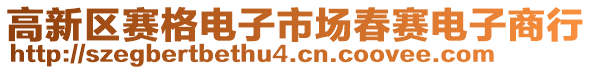 高新區賽格電子市場春賽電子商行