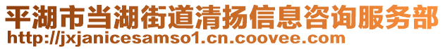 平湖市當(dāng)湖街道清揚信息咨詢服務(wù)部