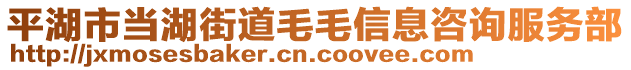 平湖市當(dāng)湖街道毛毛信息咨詢服務(wù)部