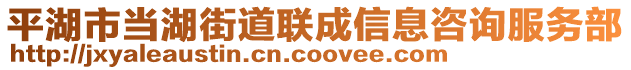 平湖市當(dāng)湖街道聯(lián)成信息咨詢服務(wù)部