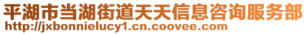 平湖市當(dāng)湖街道天天信息咨詢服務(wù)部