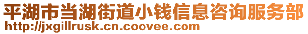 平湖市當(dāng)湖街道小錢信息咨詢服務(wù)部