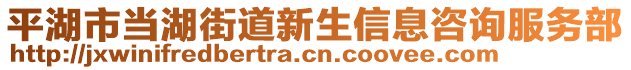 平湖市當(dāng)湖街道新生信息咨詢服務(wù)部