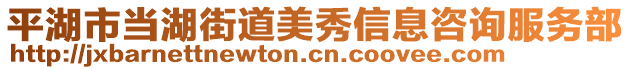 平湖市當湖街道美秀信息咨詢服務部