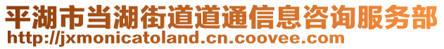 平湖市當(dāng)湖街道道通信息咨詢服務(wù)部